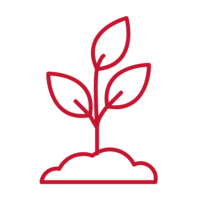 contrôle plantes résistantes.png