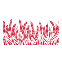 cultures forte _ innovantes.png