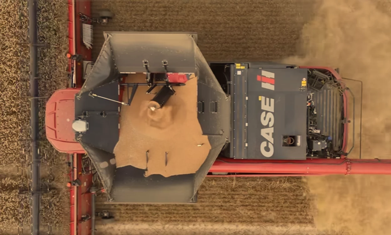 Gabarit sider images site (1).png