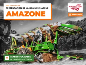 Miniature charrue amazone