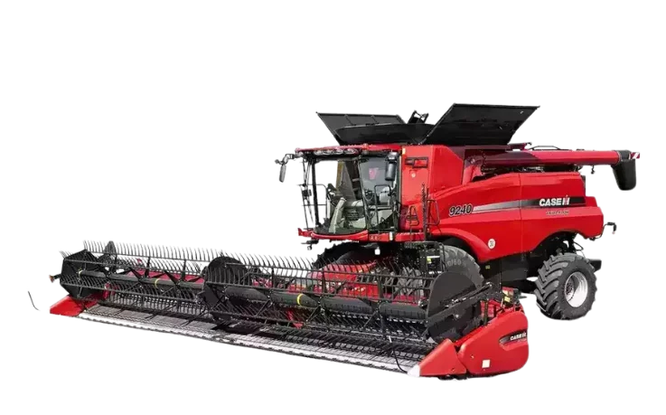 tapis.png