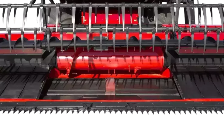 tapis (3).png