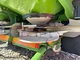 Pulvérisateur et distributeur à engrais AMAZONE ZA TS ULTRA 4200