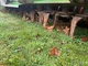 Semoir AMAZONE AD 403