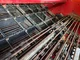 Arracheuse de pomme de terre GRIMME EVO 280