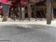 Semoir HORSCH EXPRESS 3TD
