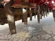 Semoir HORSCH EXPRESS 3TD