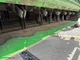 Moissonneuse batteuse JOHN-DEERE T660