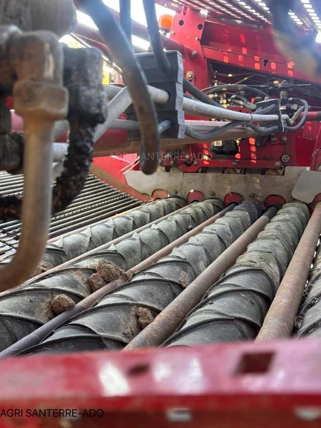 Arracheuse de pomme de terre GRIMME GT 300