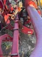 Arracheuse de pomme de terre GRIMME GT 300