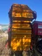 Arracheuse de pomme de terre GRIMME GT 300